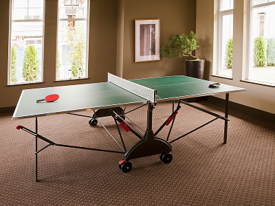 Krishna Kunj 360 - Indoor Games - Premium Residential Property Amenities in Goregaon West